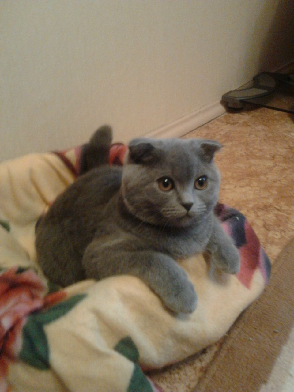 Марина Новикова | Минск