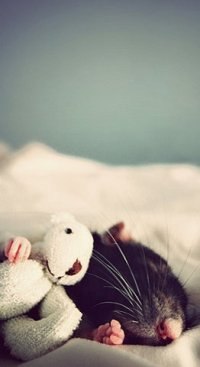 Оля Левченко | Киев