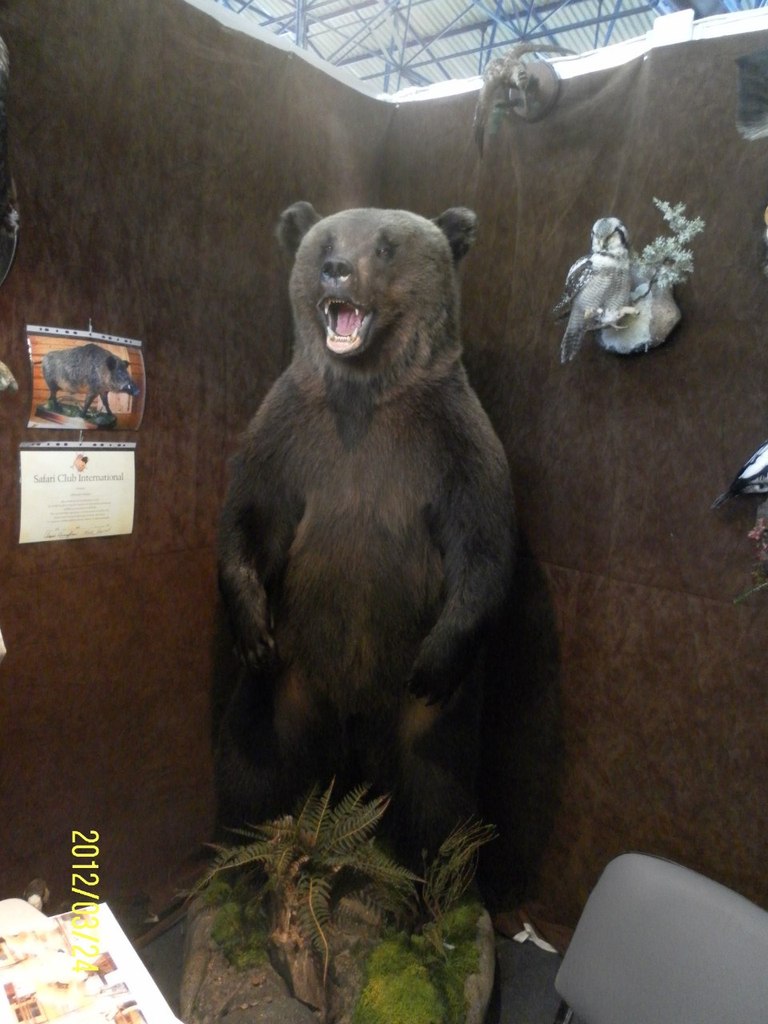 Артем Смирнов | Санкт-Петербург