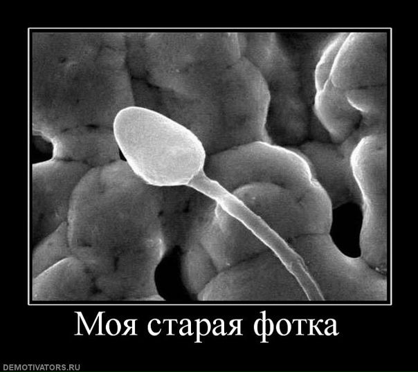 №37, Sasuke Uchiha №37, Sasuke Uchiha