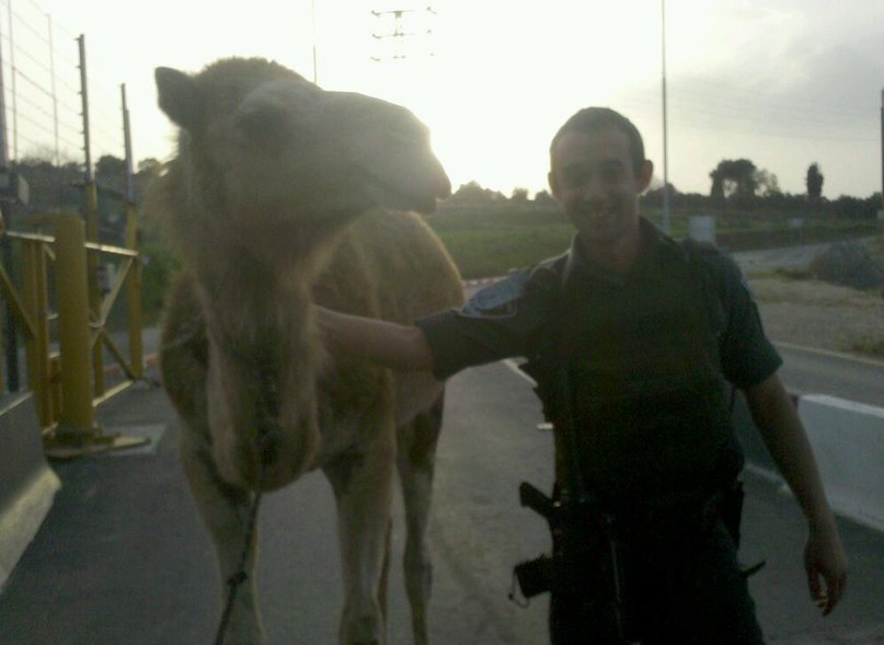 Костя Семин | Тель-Авив