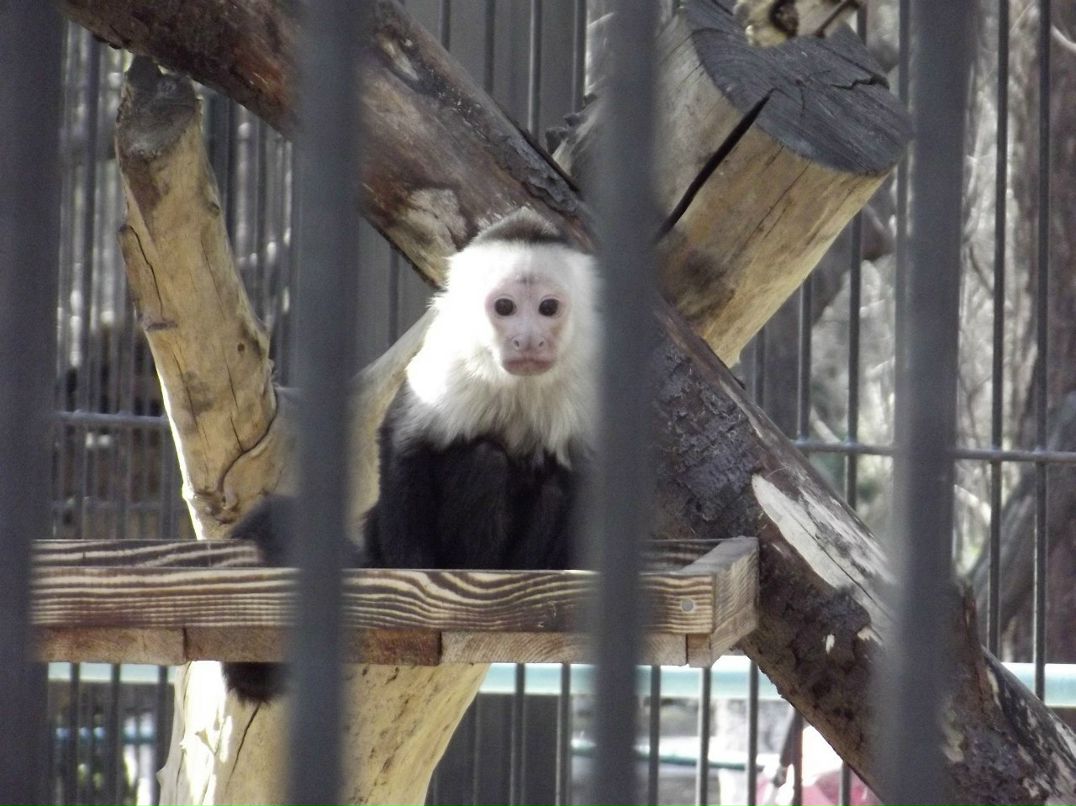 Галина Зайко | Новосибирск