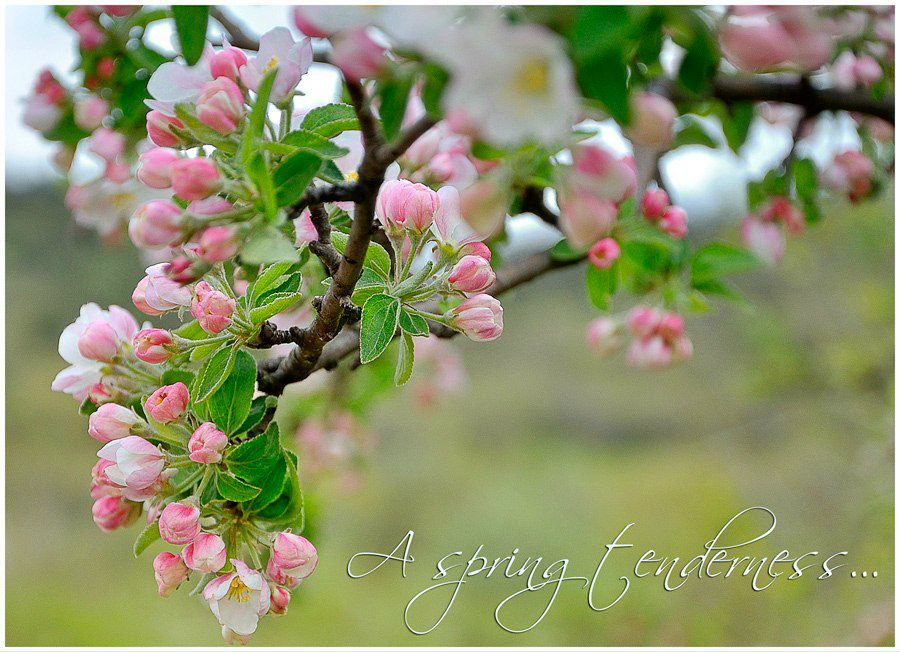 Андрей Губаренко Alter_Ego | Харьков