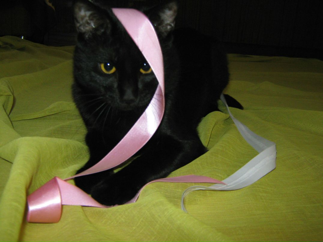 Александр Кубарев | Мытищи