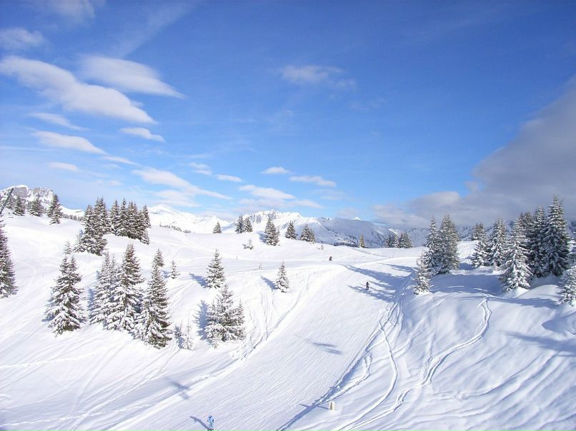 Александр Пономарев | Москва