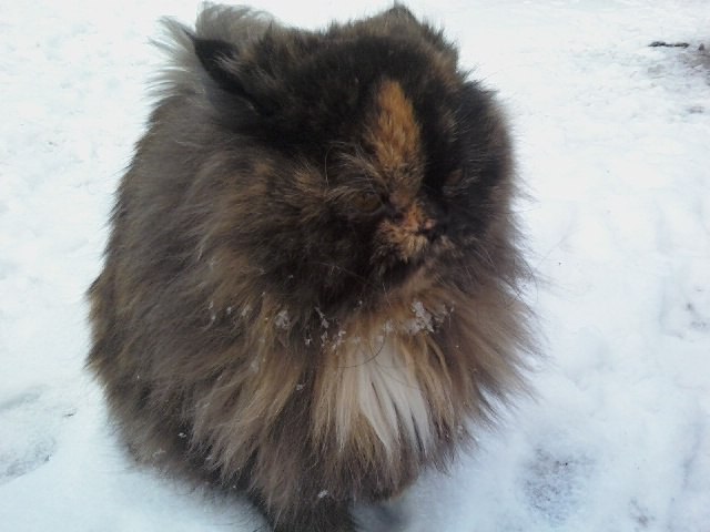 Валентина Ситько | Киев