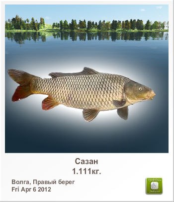 Сергей Алексеев | Санкт-Петербург