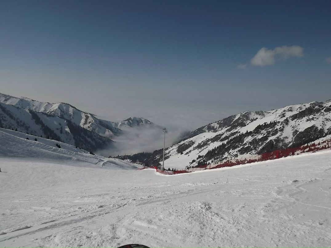 Андрей Гулак | Санкт-Петербург