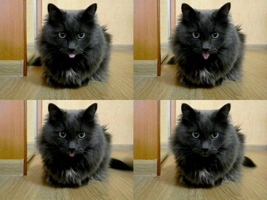 Надежда Ампадистова | Екатеринбург