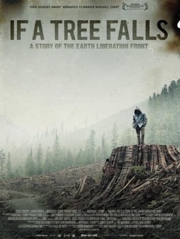 Денис Кеда Helt | Киев