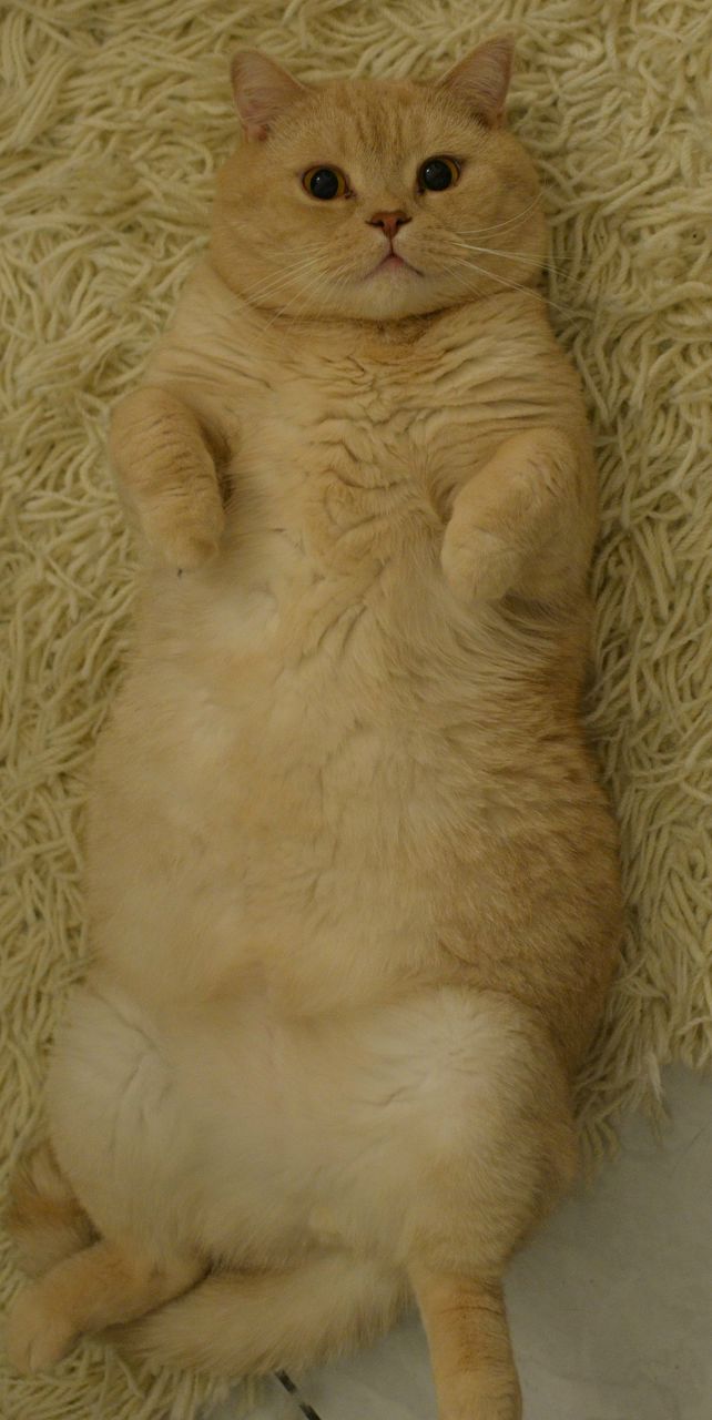 Алексей Ушаков Money never sleeps | 