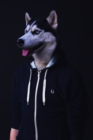 Павло Свідінський | Кременец