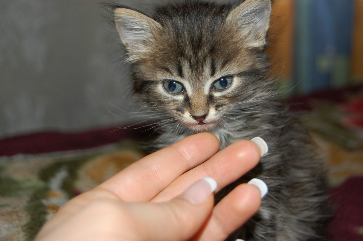 Наталья Назарова | Сочи