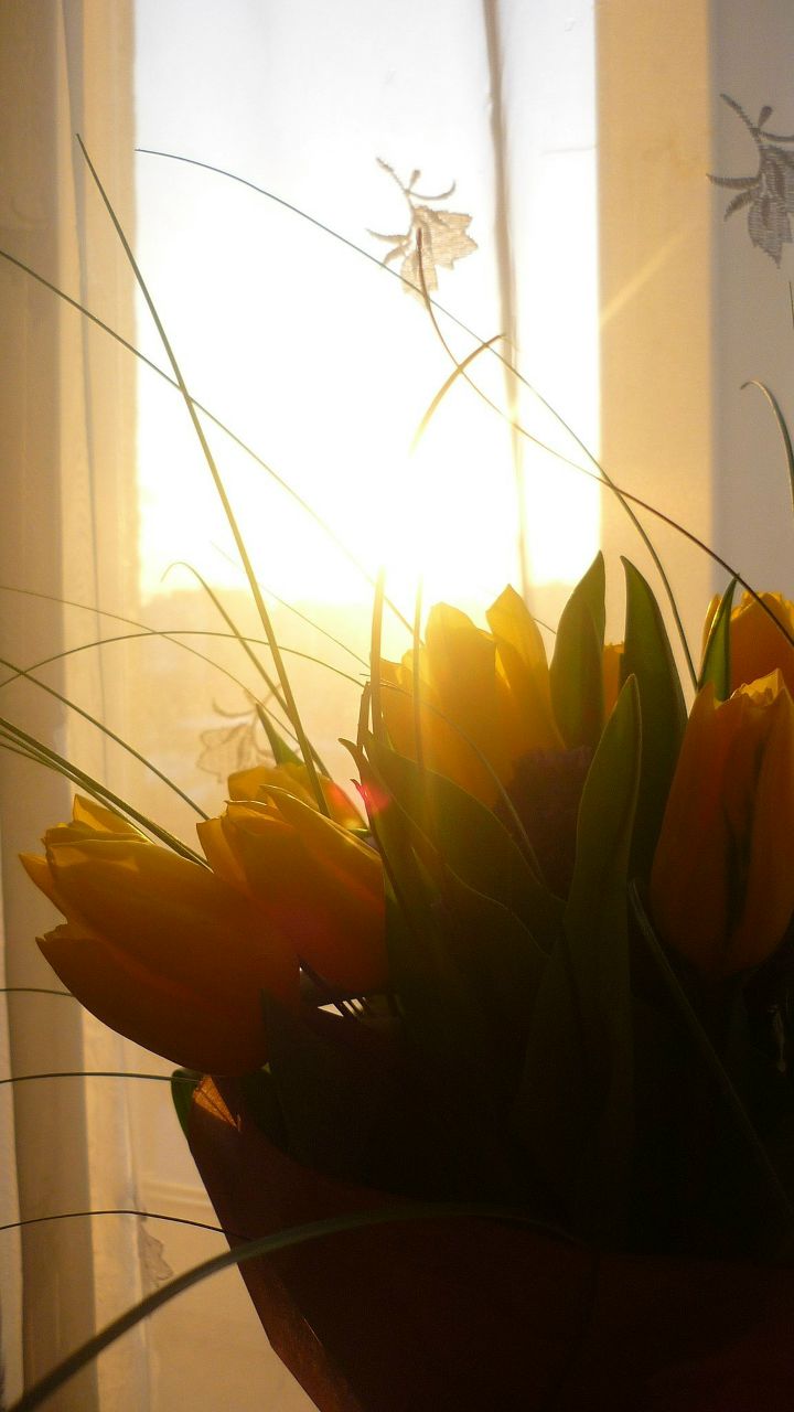 Анна Сушенцева | Москва