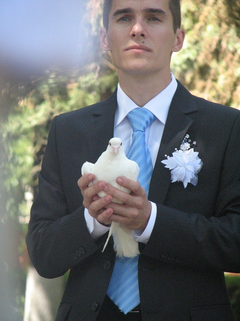 Валентин Ческидов | Краснодар