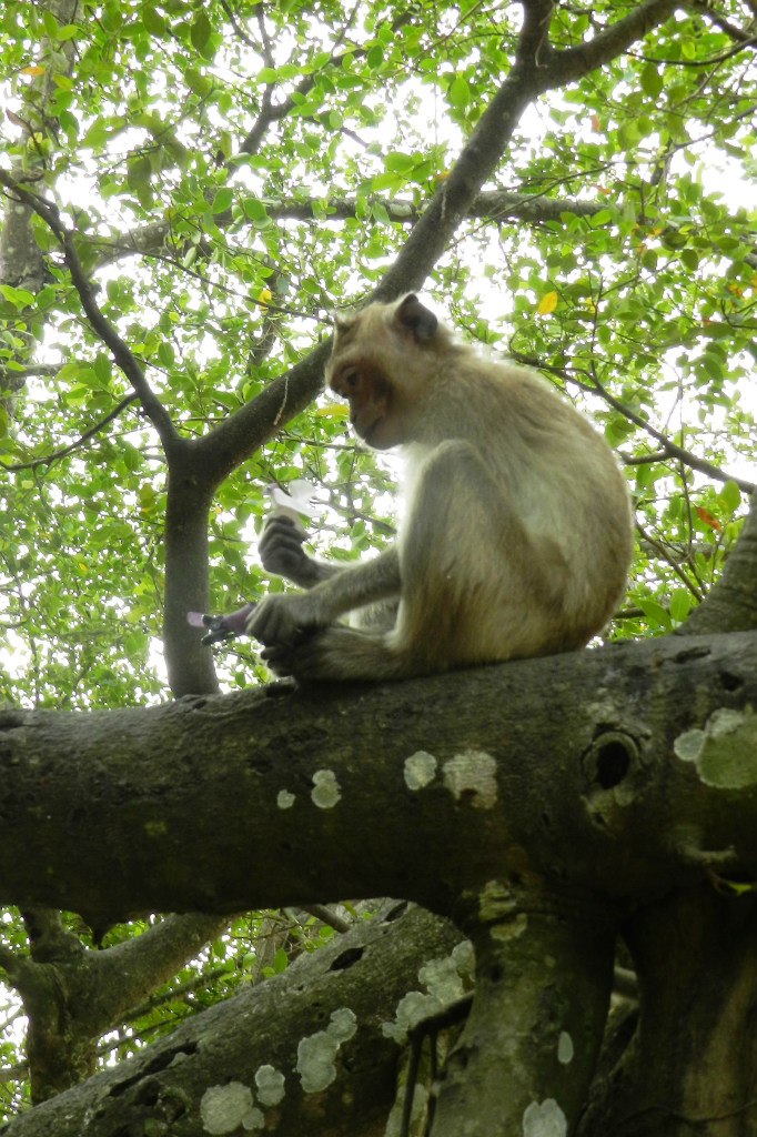 Анна Малышева | Москва