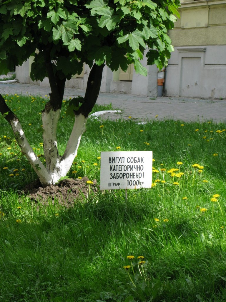 Юрий Матвейчук | Челябинск