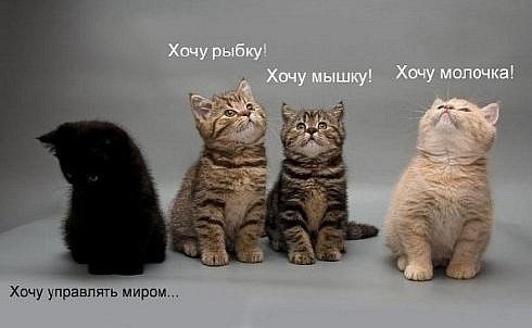 Ирина Корвач | Wrocław