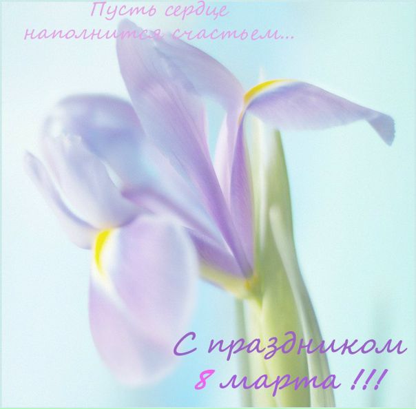 №74, Екатерина Прокопьева №74, Екатерина Прокопьева