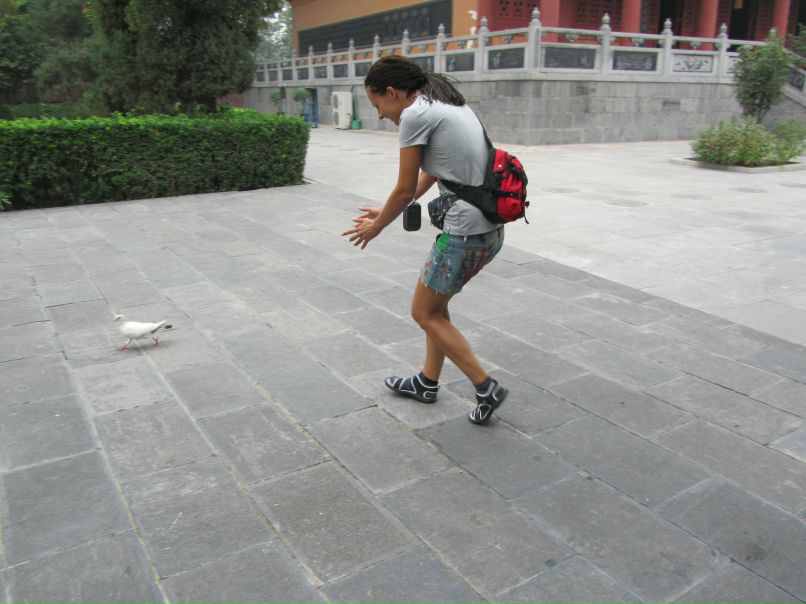 Анна Меркель | Калининград