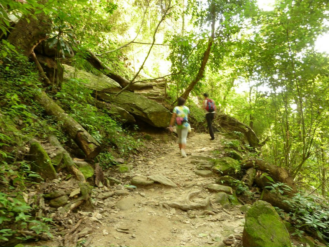 Luis Rincon | Bucaramanga