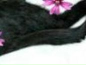 Наталья Жарикова | Орёл