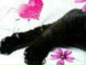 Наталья Жарикова | Орёл