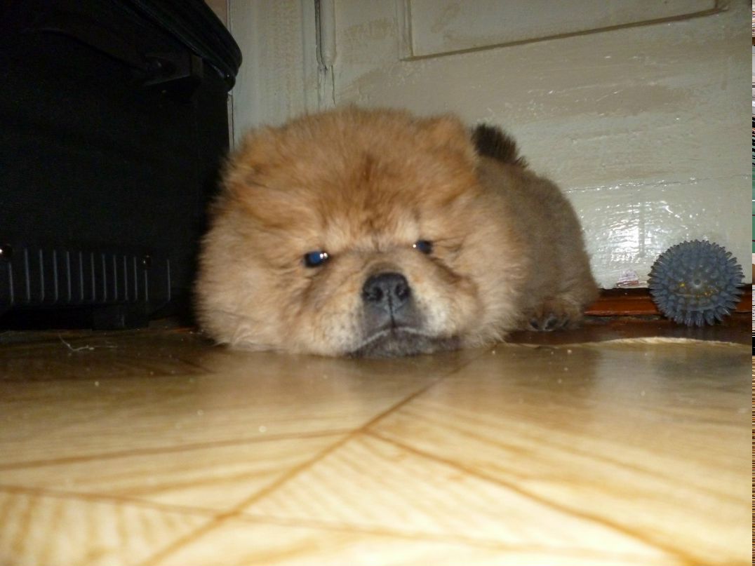 Асем Талыспаева | Алматы