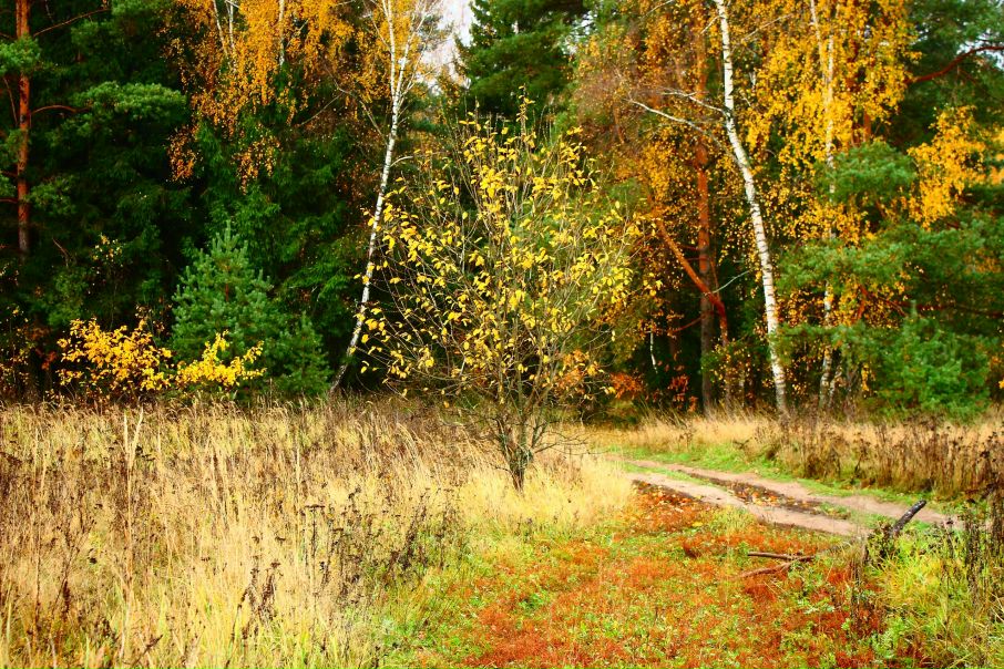 №130, Мария Рыжова, Москва №130, Мария Рыжова, Москва