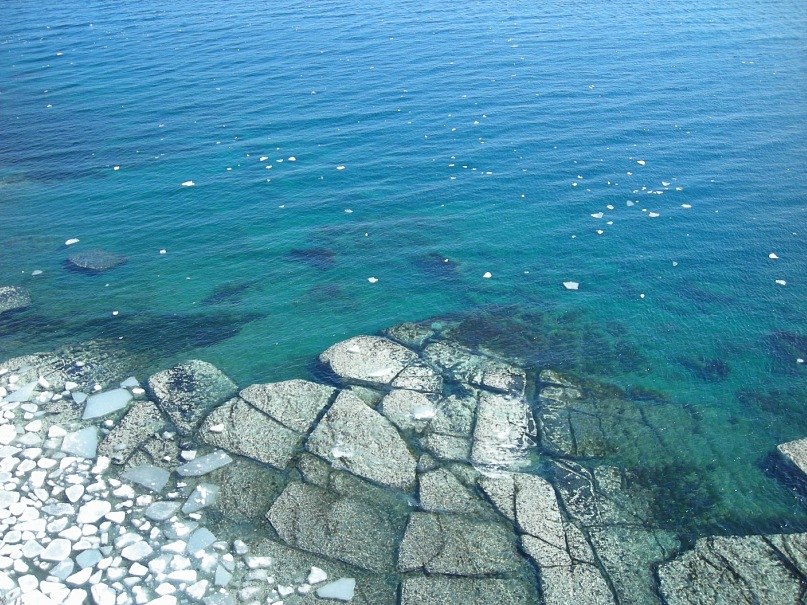 Андрей Андреев | Санкт-Петербург