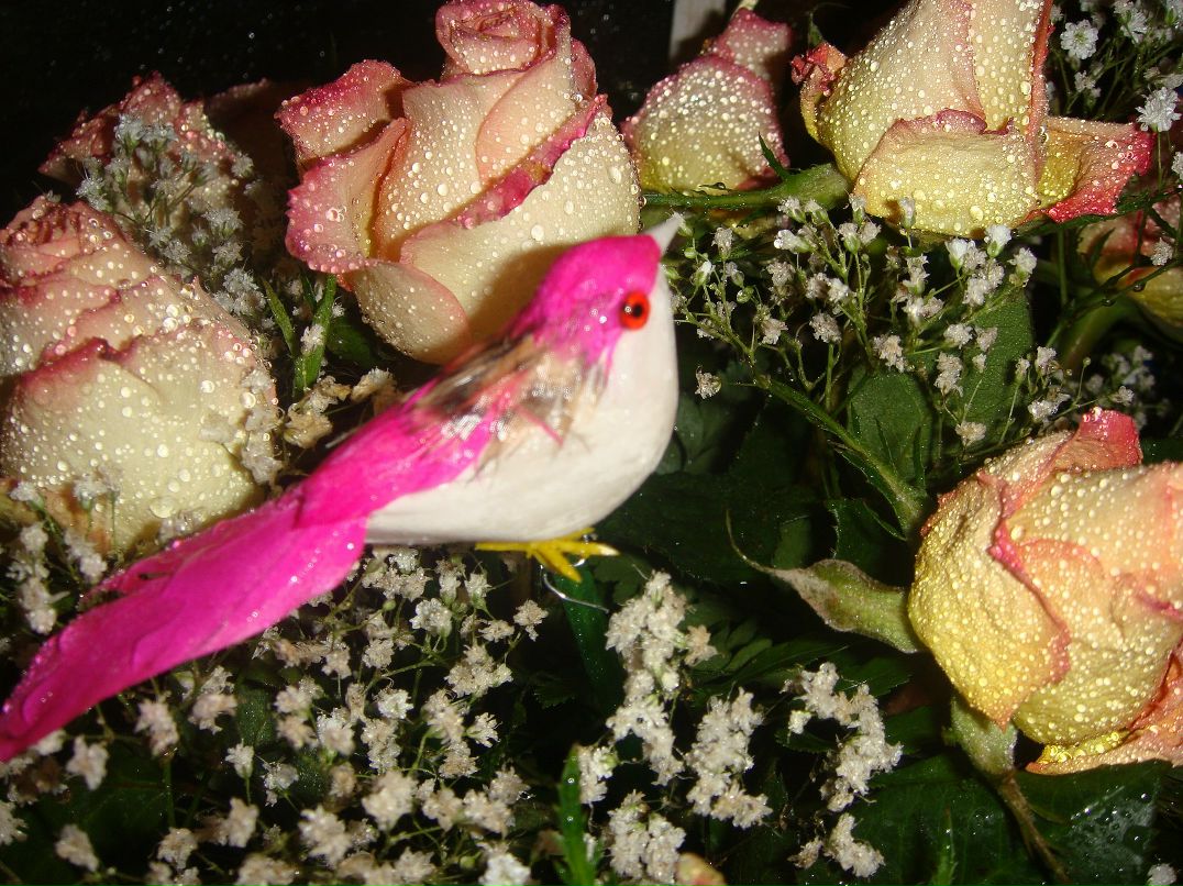 Ксения Духанина | Санкт-Петербург