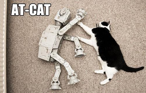 Денис Чичендаев | Кемерово