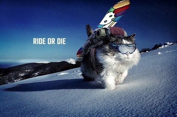 Александр Маслов | 