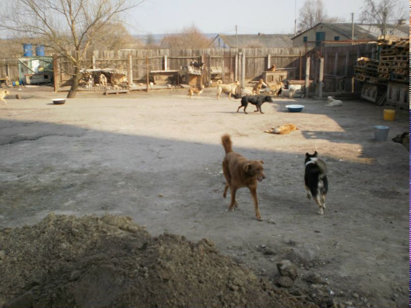 Валера Лисий | Днепр (Днепропетровск)