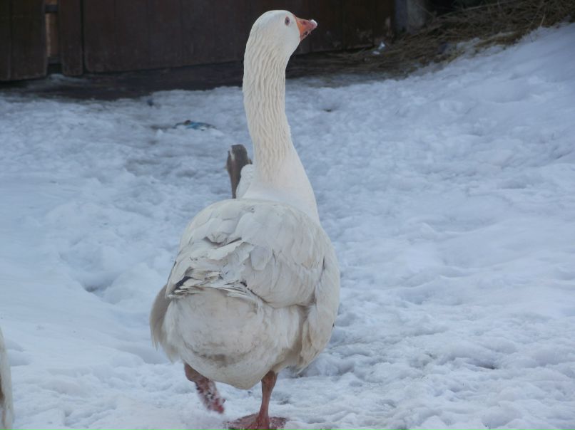 Екатерина Соколова ...lova | Москва