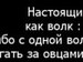 Леонид Вербовский фотография #18
