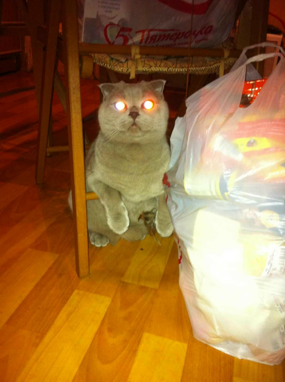 Александр Макашев | Москва