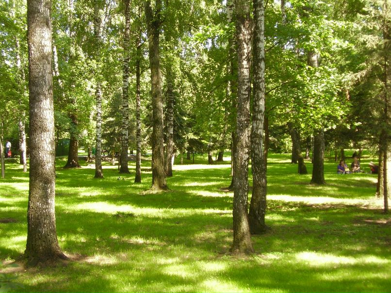 Юлия Макарова | Москва