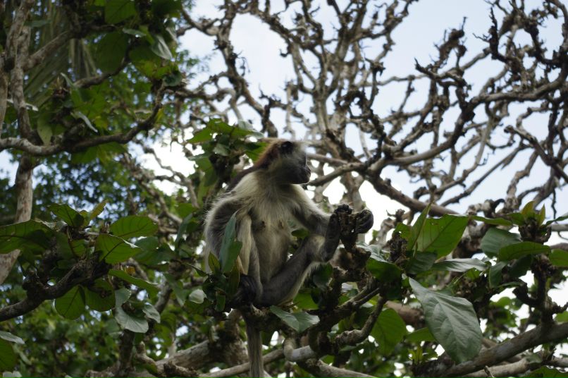 Илья Ломцев | Санкт-Петербург