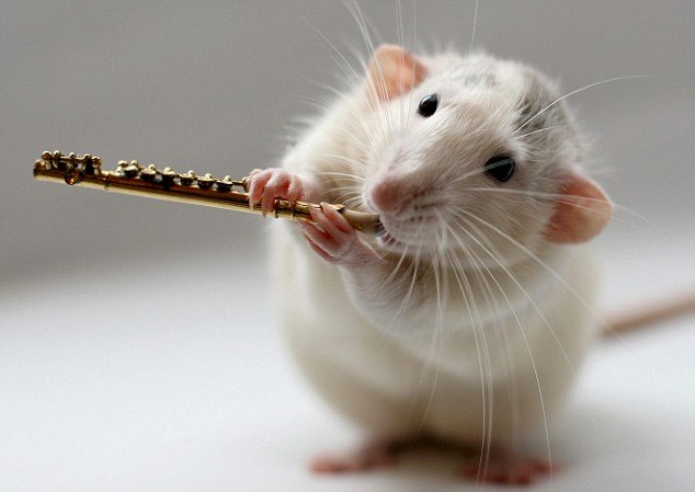 Шарлотта Богинская | Санкт-Петербург