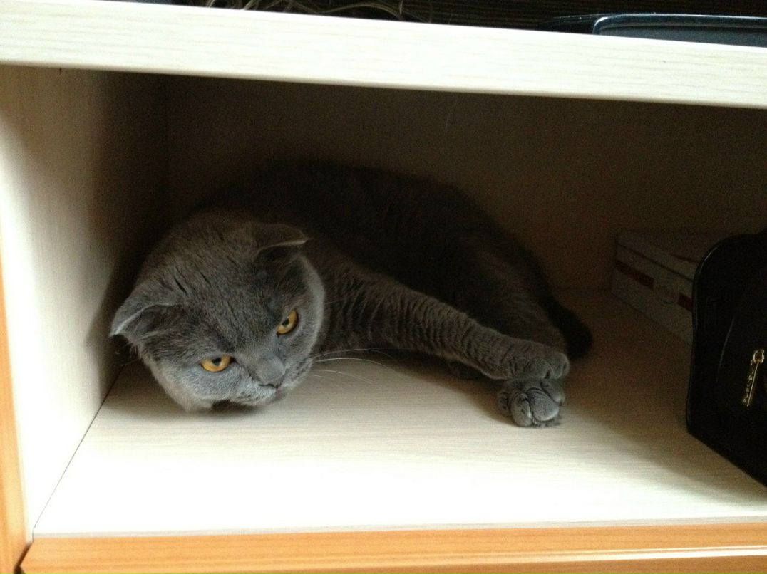 Дима Аристархов | Москва