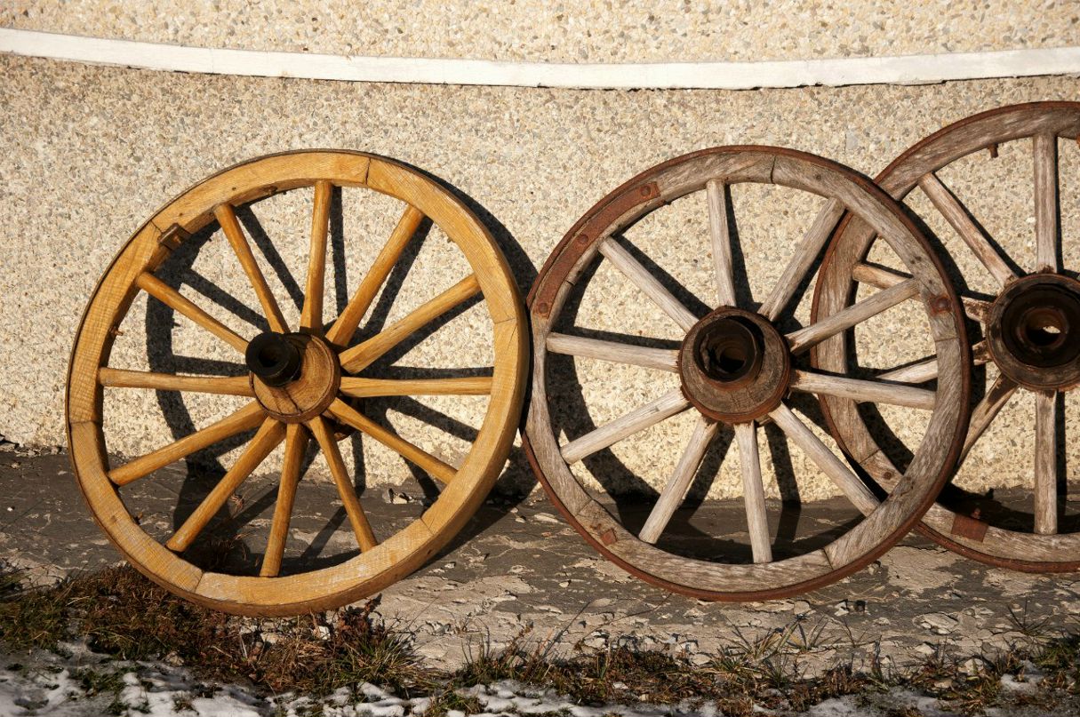 Юлия Морока | 