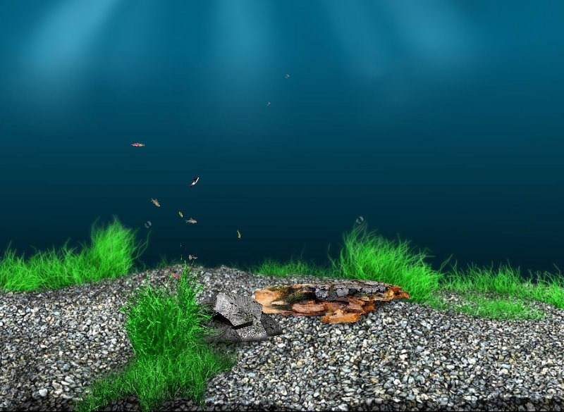 Оля Маркова | Сортавала