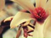 Мария Шпакович | Москва