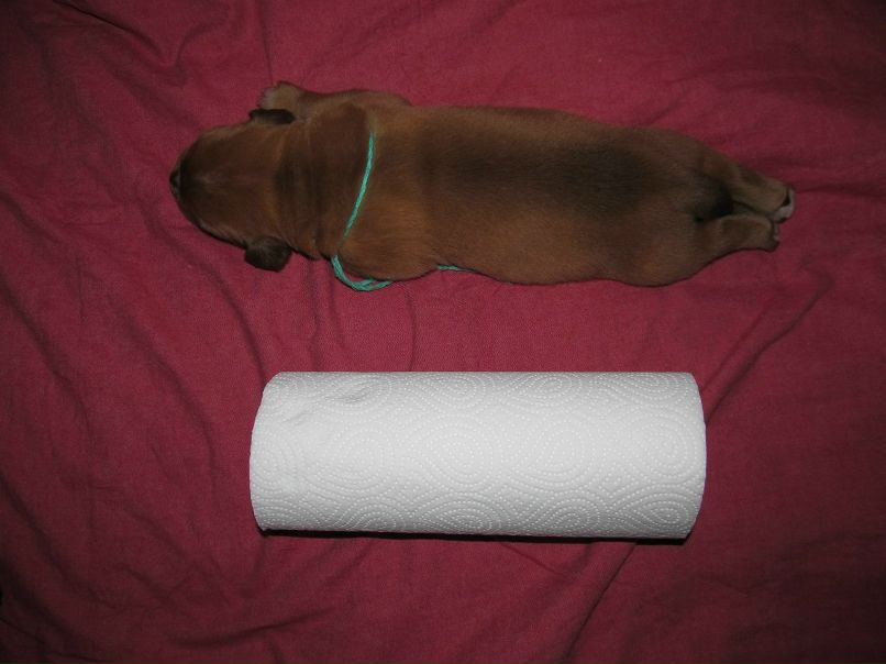 Екатерина Иванова | Санкт-Петербург