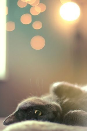 №185, Александра Лофт Кирилова, Березники №185, Александра Лофт Кирилова, Березники