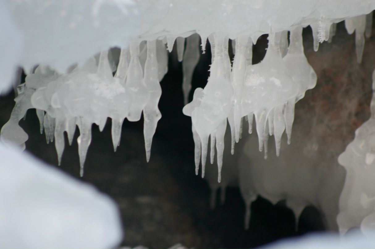 Вячеслав Смирнов | Санкт-Петербург