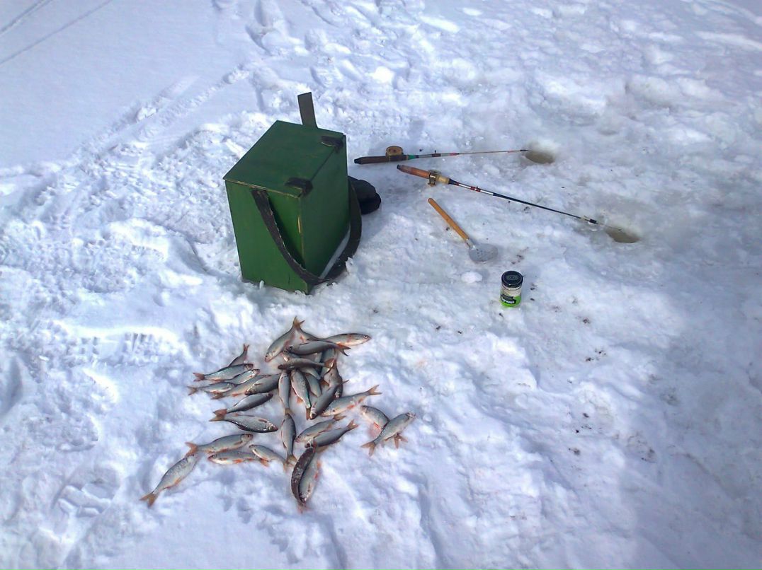 Игорь Кузнецов | Архангельск