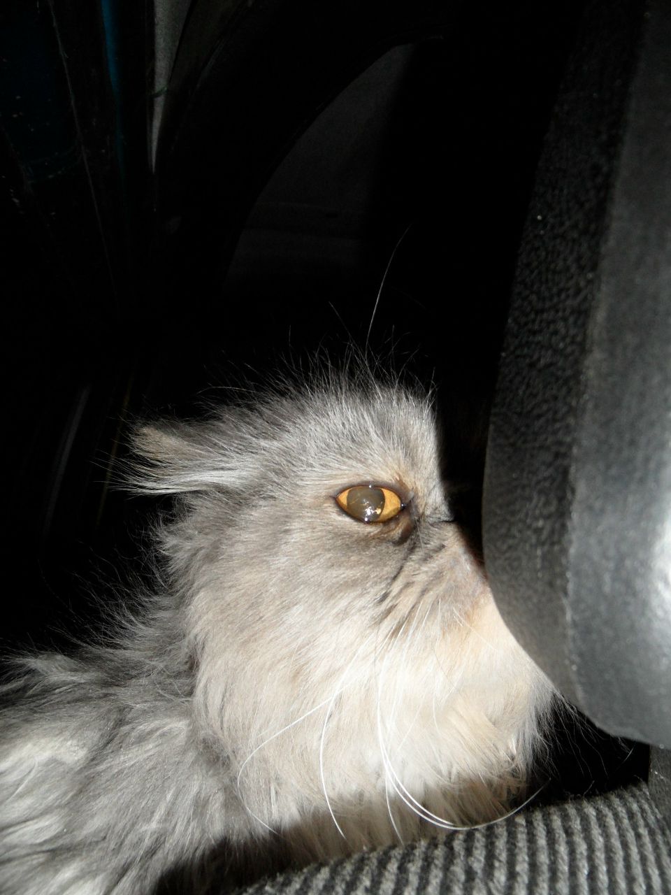 Николай Гусев | Нижний Новгород