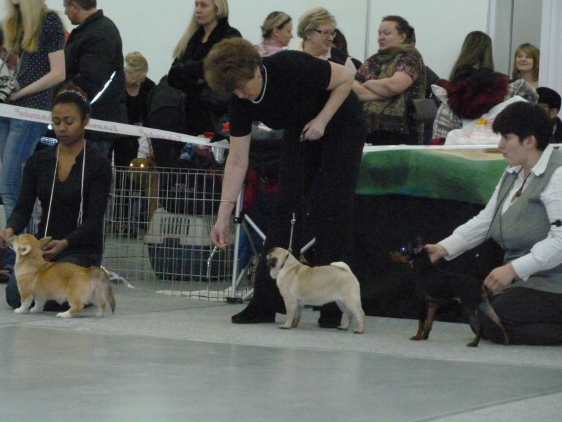 №20, Наталья Козлова №20, Наталья Козлова